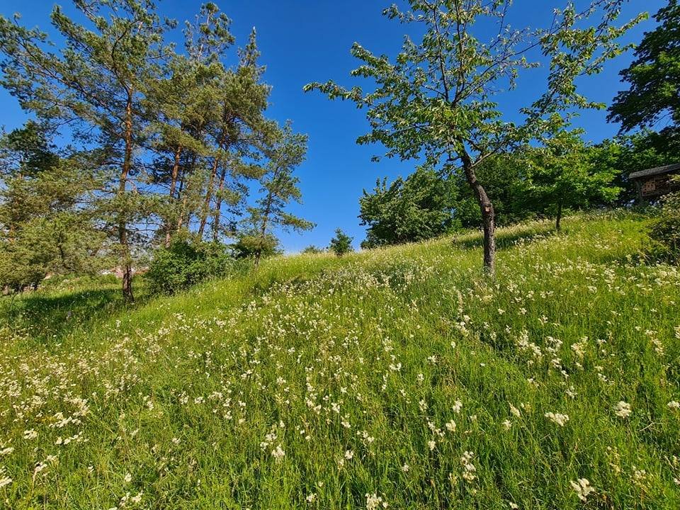 Milíř - Vysoká nad Labem